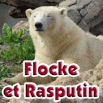 Flocke et Rasputin