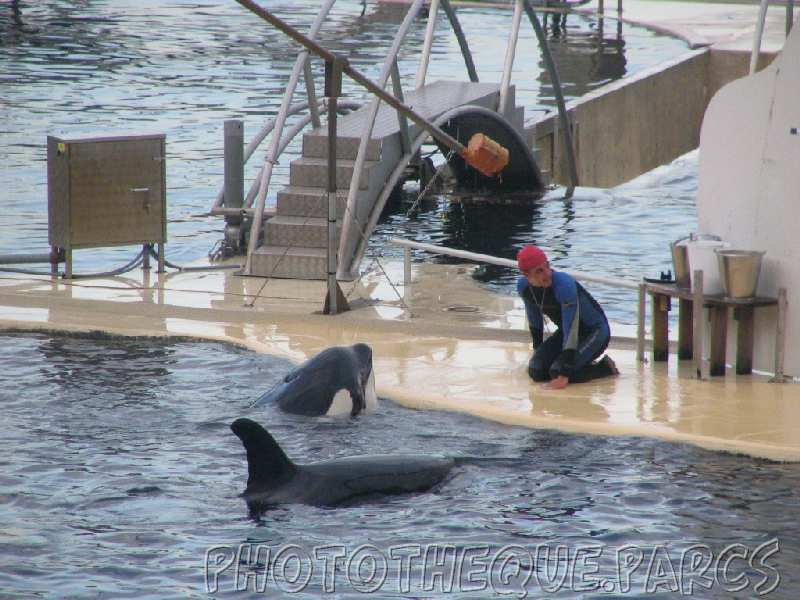 marineland 2005 1927