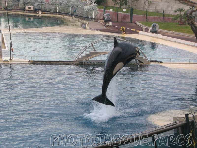 marineland 2005 1929