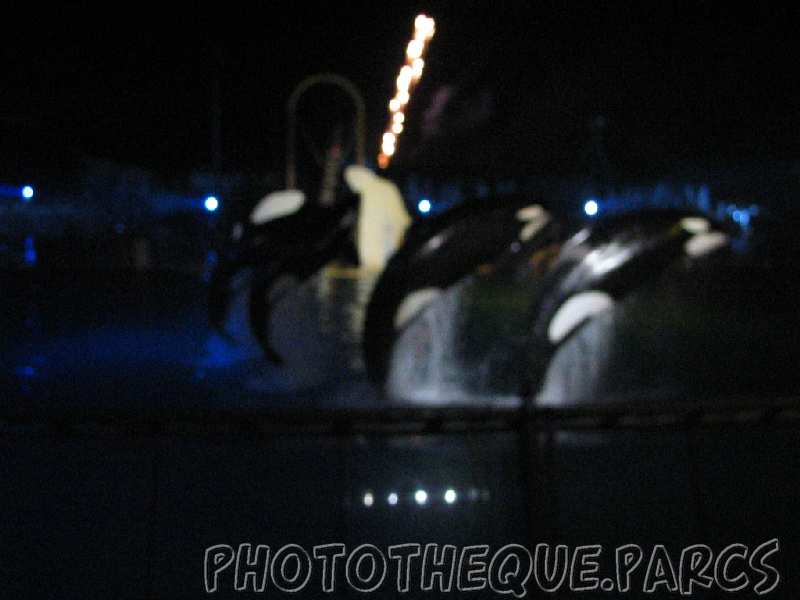 marineland 2005 1991