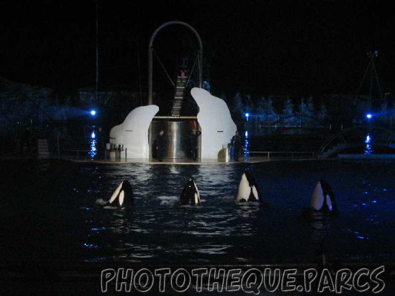 marineland 2005 1994