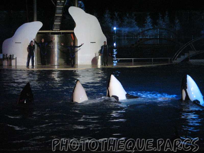 marineland 2005 1995