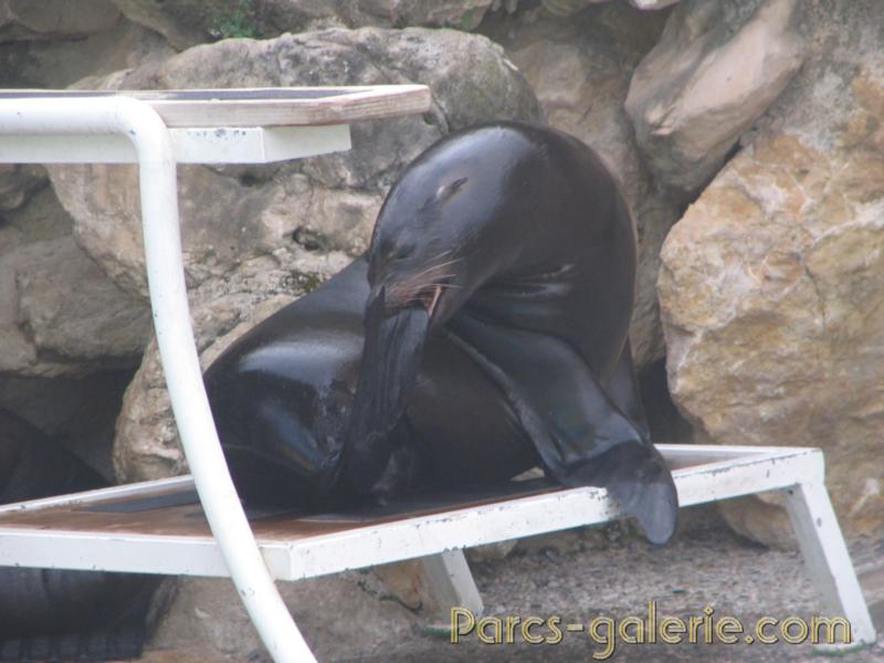 Marineland Antibes - 003