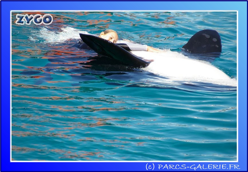 Marineland - Orques - Spectacle - 15h00 - 0141