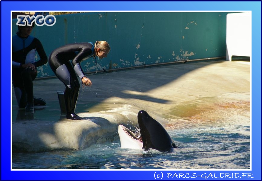 Marineland - Orques - Spectacle - 15h00 - 0146
