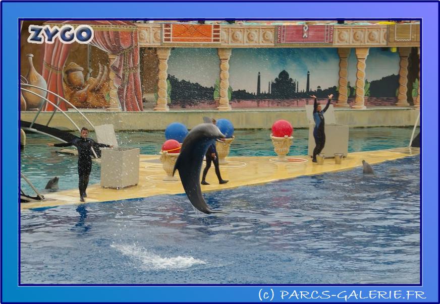 Marineland - Dauphins - Spectacle 17h45 - 0655