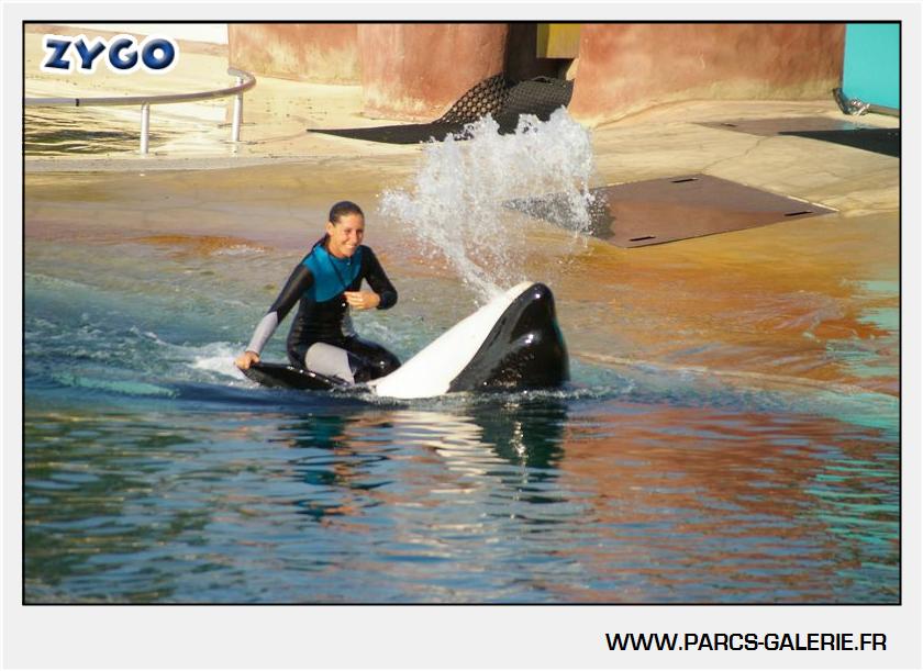 Marineland - Orques - Spectacle - 18h30 - 1171