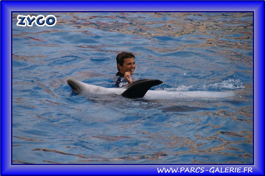 Marineland - Dauphins - Spectacle - Beach Party - 1545