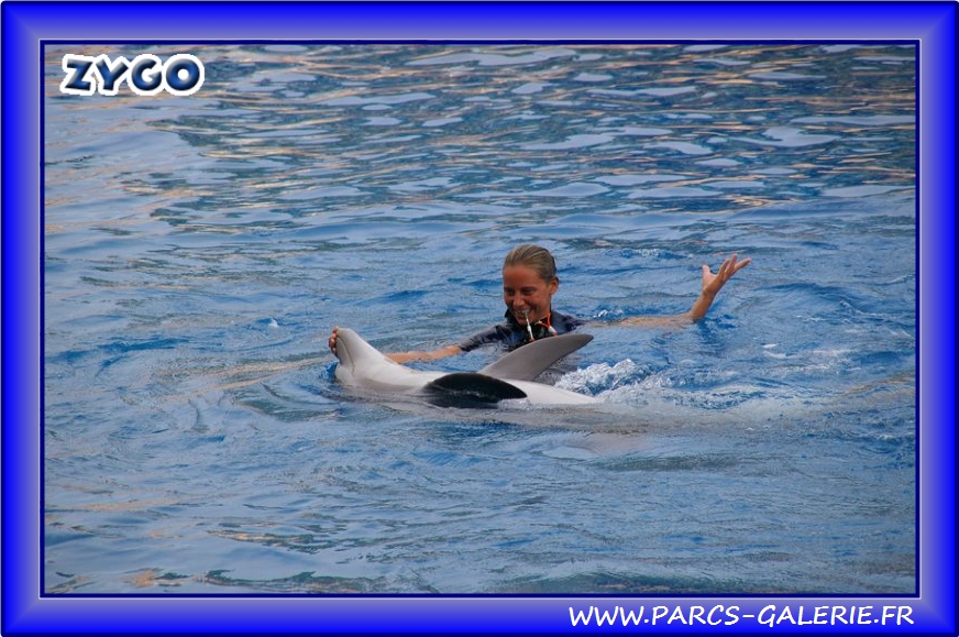 Marineland - Dauphins - Spectacle - Beach Party - 1547