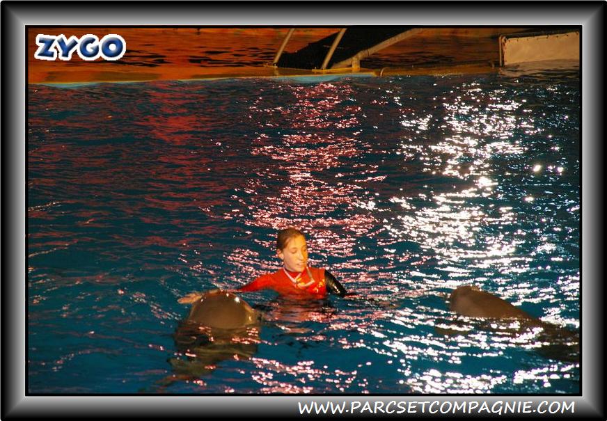 Marineland - Dauphins - Spectacle nocturne - 0422