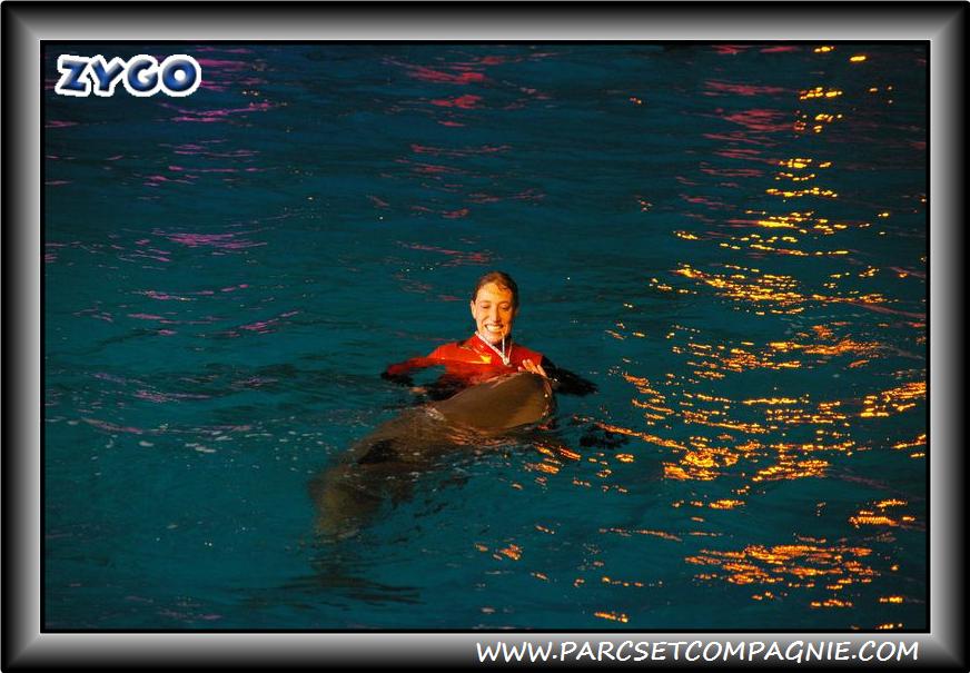 Marineland - Dauphins - Spectacle nocturne - 0448