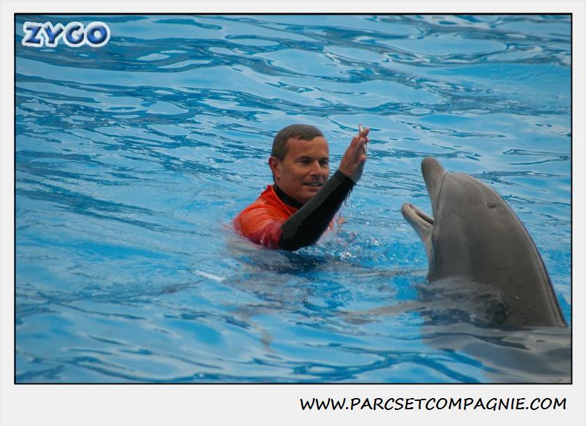 Marineland - Dauphins - Spectacle 14h30 - 0134