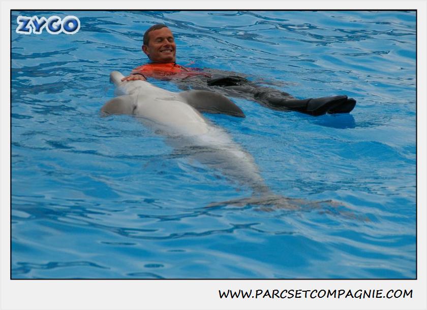 Marineland - Dauphins - Spectacle 14h30 - 0135