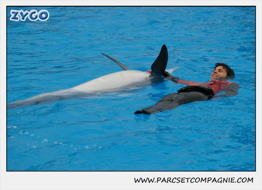 Marineland - Dauphins - Spectacle 14h30 - 0136
