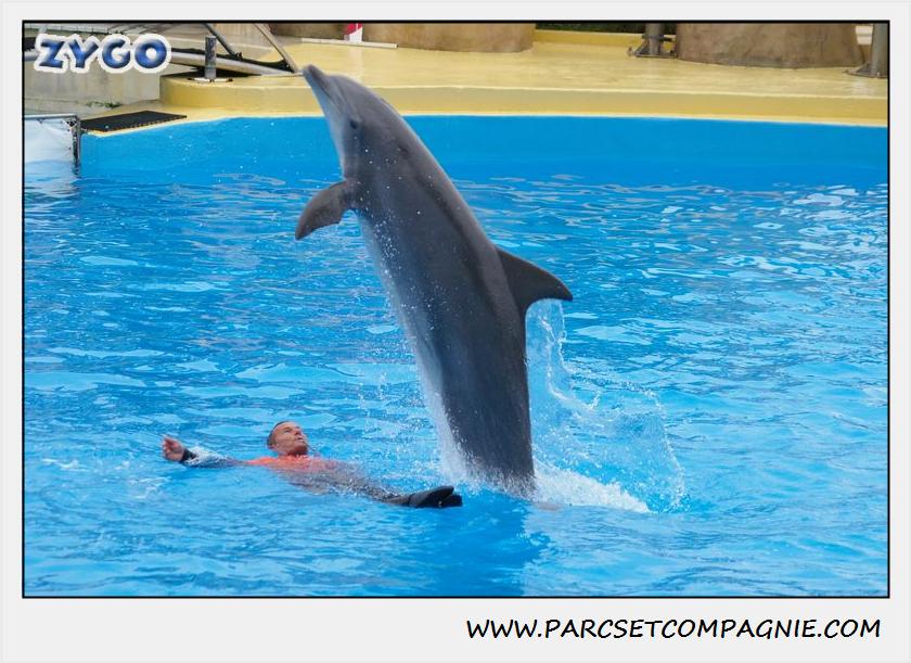 Marineland - Dauphins - Spectacle 14h30 - 0139