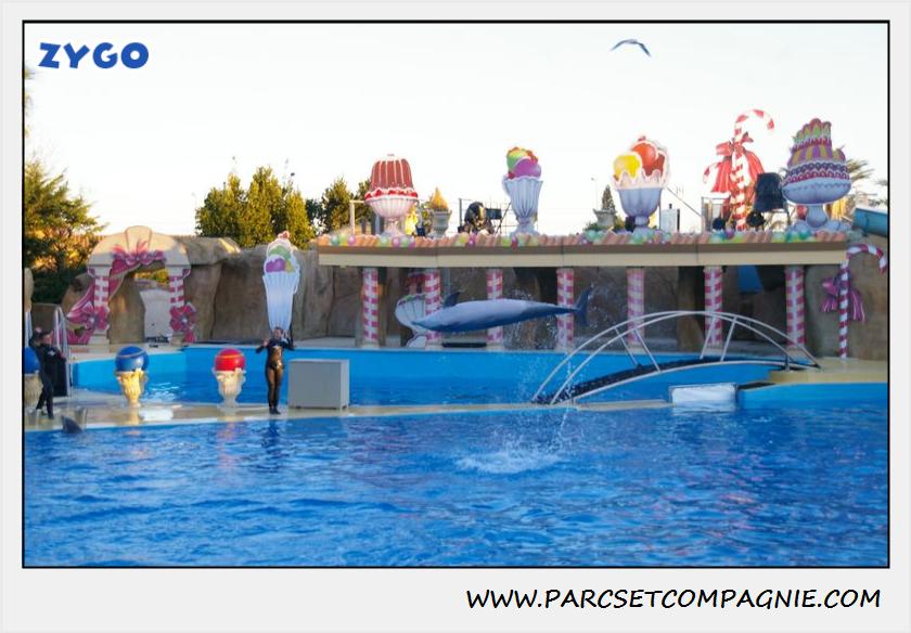 Marineland - Dauphins - Spectacle 17h30 - 0236