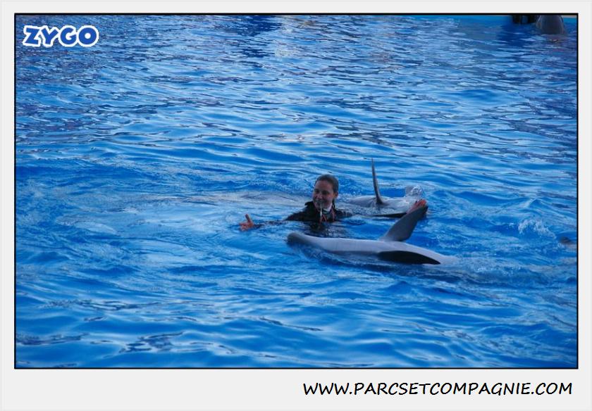 Marineland - Dauphins - Spectacle 17h30 - 0245