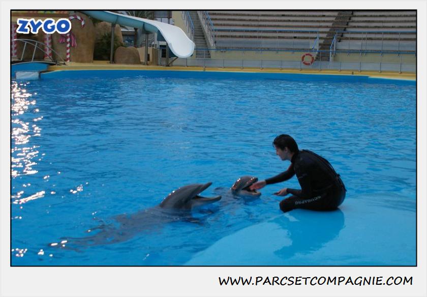 Marineland - Dauphins - Spectacle 17h30 - 0502
