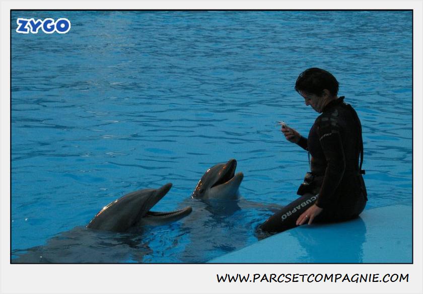 Marineland - Dauphins - Spectacle 17h30 - 0505