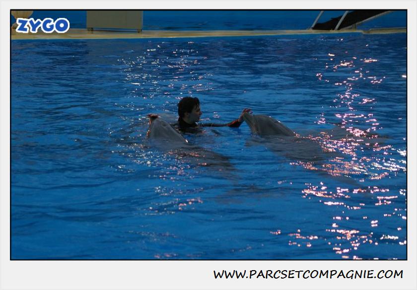 Marineland - Dauphins - Spectacle 17h30 - 0506