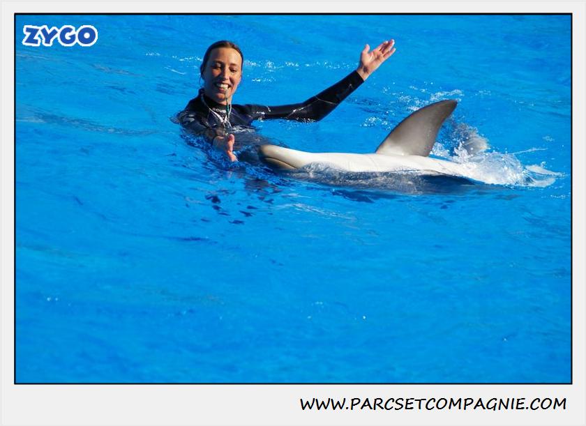 Marineland - Dauphins - Spectacle 14h30 - 1074