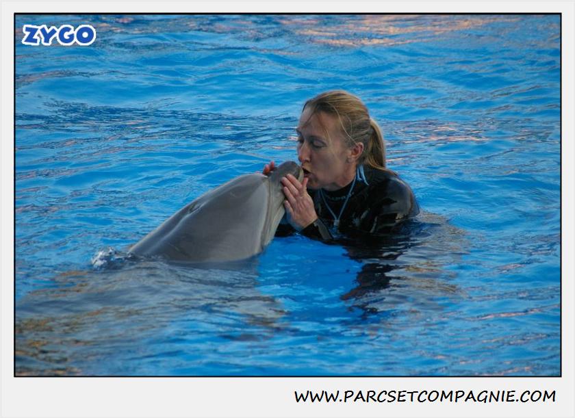 Marineland - Dauphins - Spectacle 17h15 - 1095