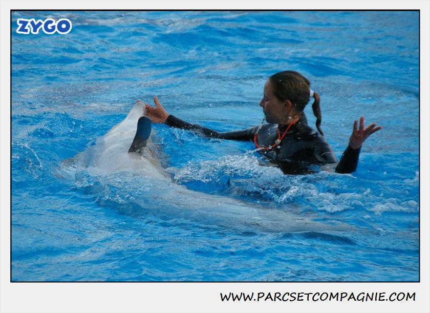 Marineland - Dauphins - Spectacle 17h15 - 1108