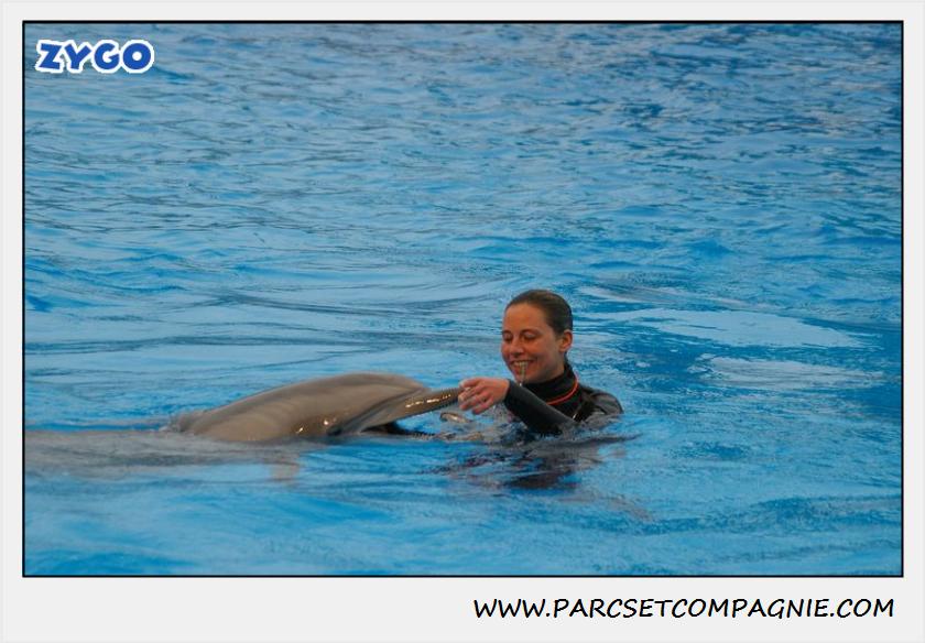 Marineland - Dauphins - Spectacle 17h15 - 1277