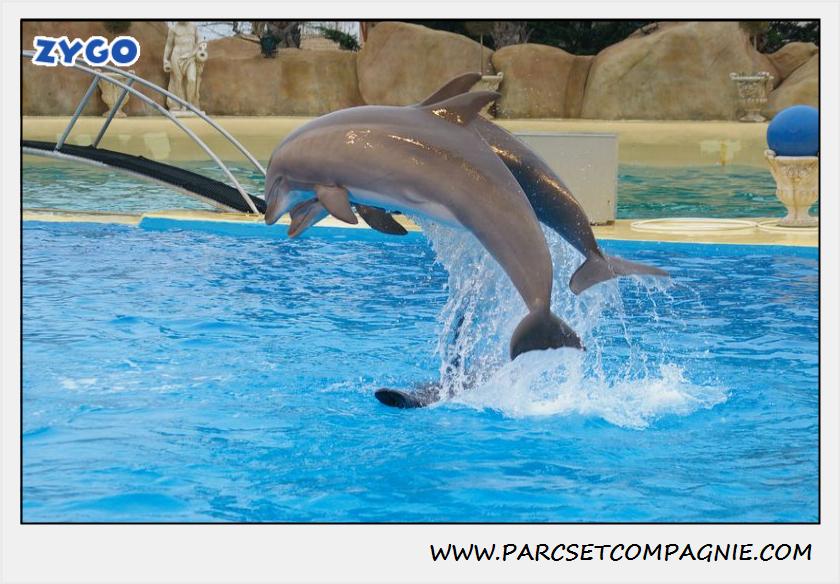 Marineland - Dauphins - Spectacle 17h15 - 1284