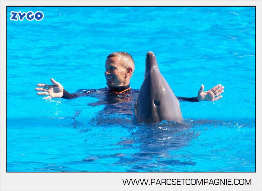 Marineland - Dauphins - Spectacle - 14h30 - 5884