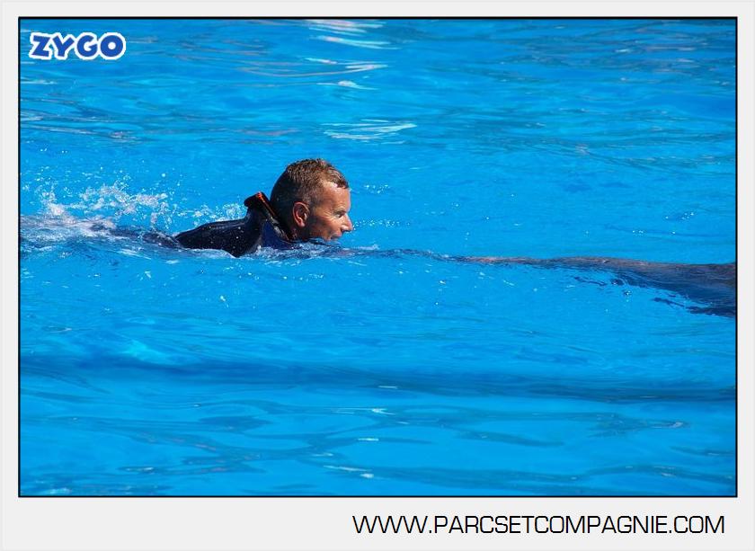 Marineland - Dauphins - Spectacle - 14h30 - 5890