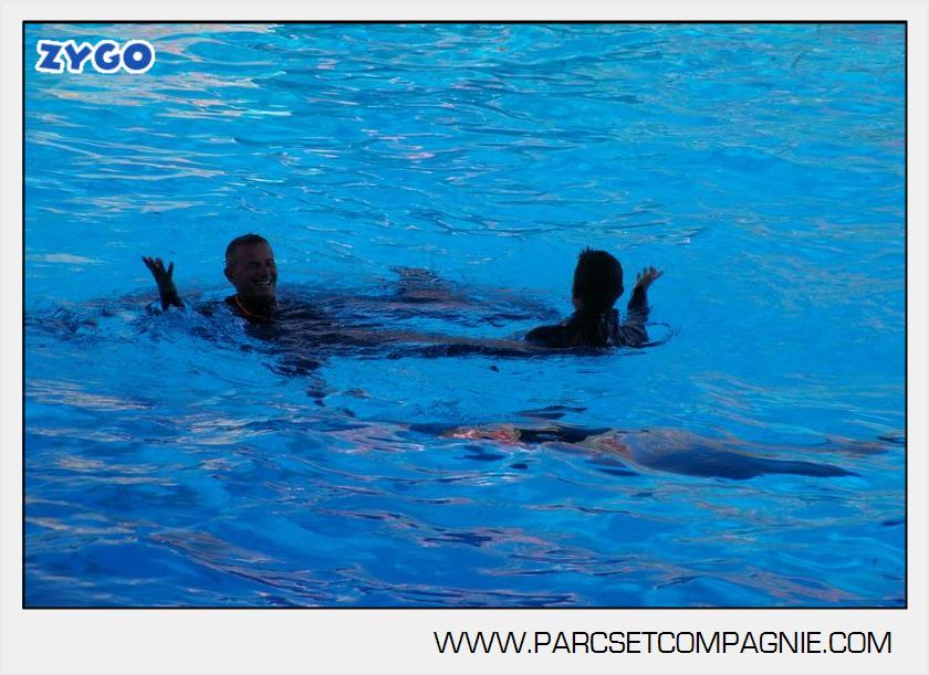 Marineland - Dauphins - Spectacle - 17h00 - 5918