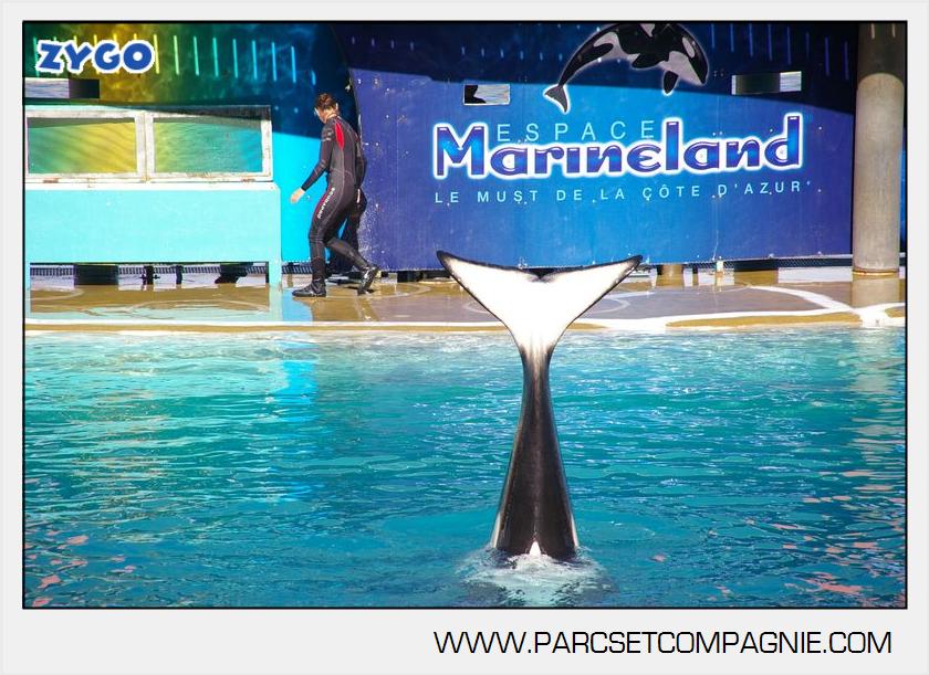 Marineland - Orques - 6088