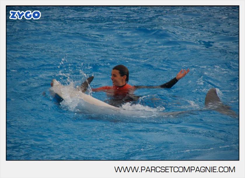 Marineland - Dauphins - Spectacle 14h45 - 0031