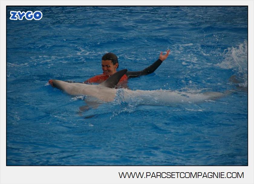 Marineland - Dauphins - Spectacle 14h45 - 0034