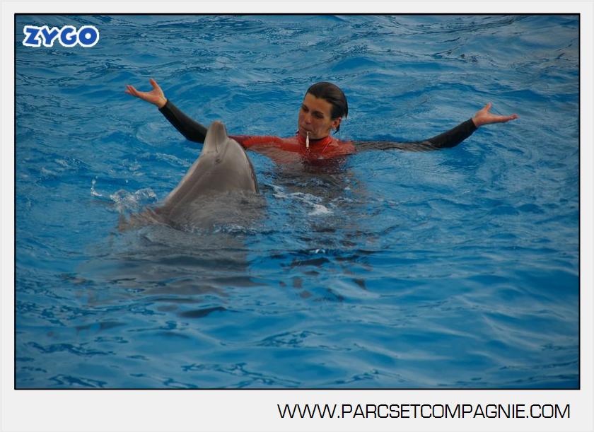 Marineland - Dauphins - Spectacle 14h45 - 0073