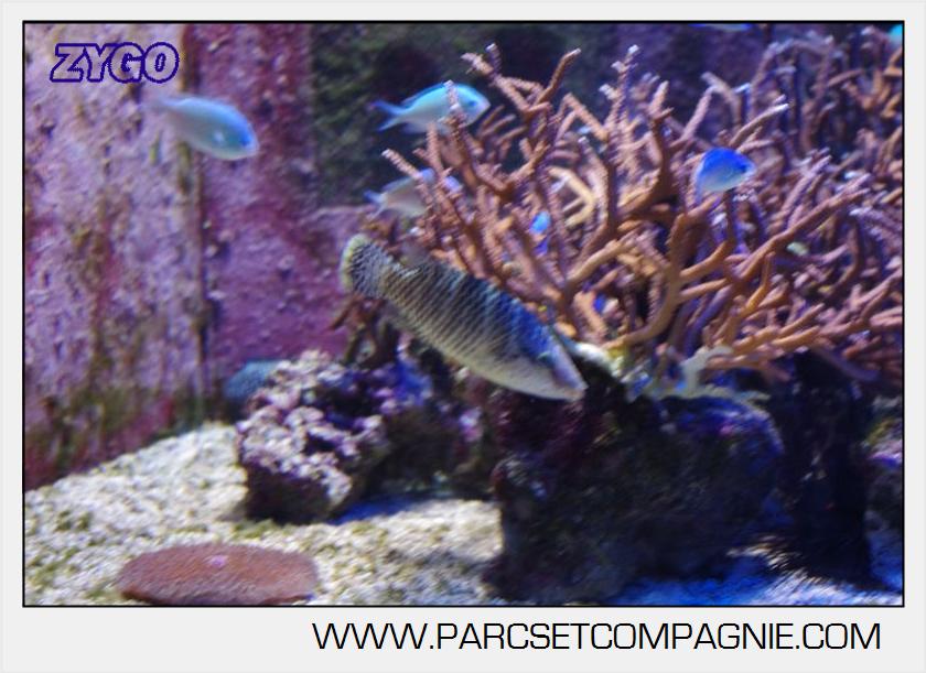 Marineland - Aquariums Tropicaux - 4946