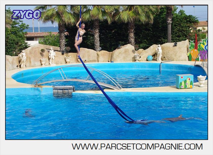 Marineland - Dauphins - Spectacle 17h00 - 5105