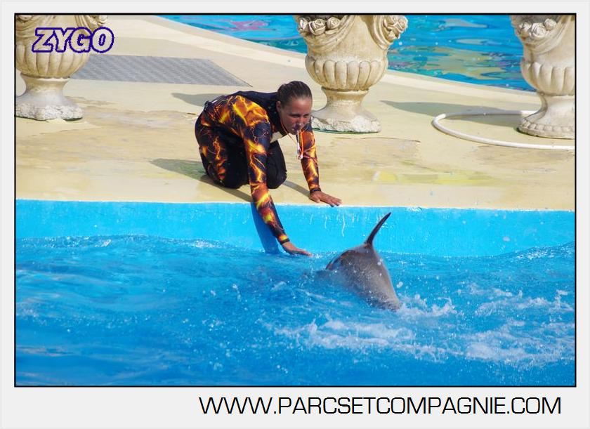 Marineland - Dauphins - Spectacle 17h00 - 5149