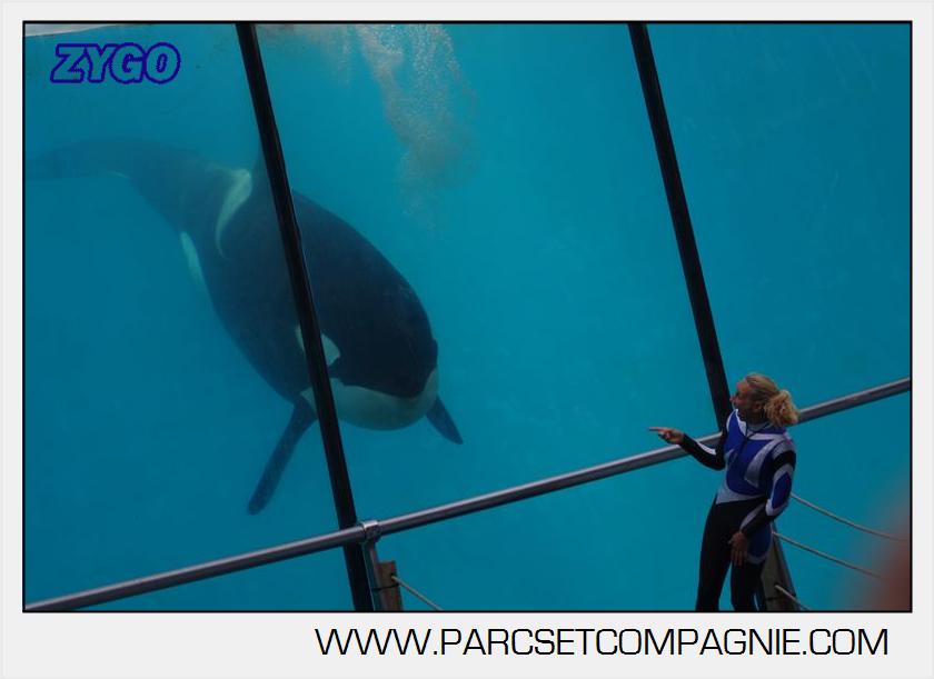 Marineland - Orques - spectacle 15h15 - 5421