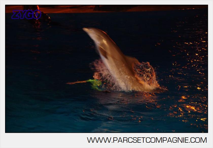 Marineland - Dauphins - Spectacle nocturne - 5909