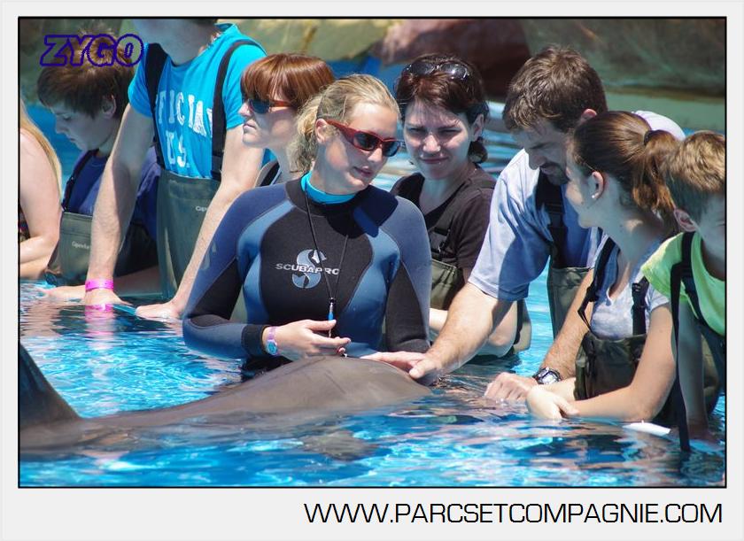 Marineland - Lagoon - Rencontre avec les dauphins - 6418