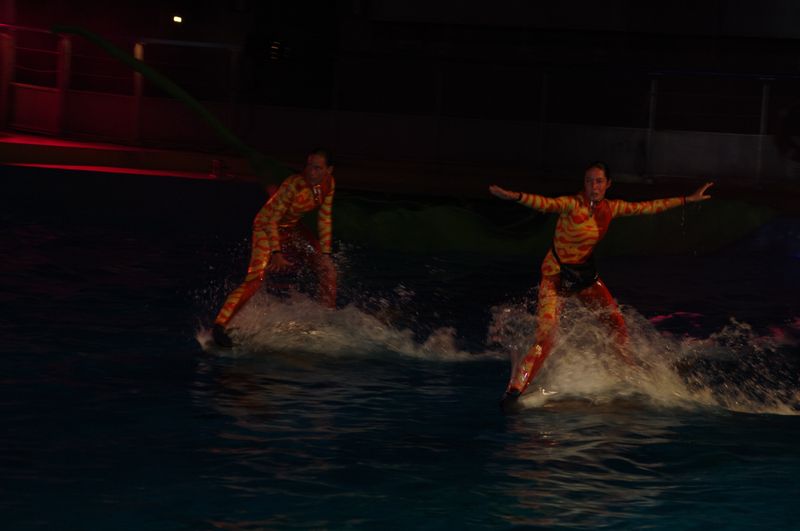 Marineland - Dauphins - Spectacle nocturne - 6973