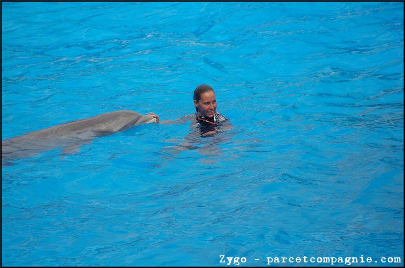 Marineland - Dauphins - Spectacle -15h30 - 0437