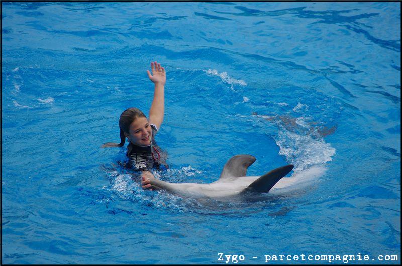 Marineland - Dauphins - Spectacle -15h30 - 0455