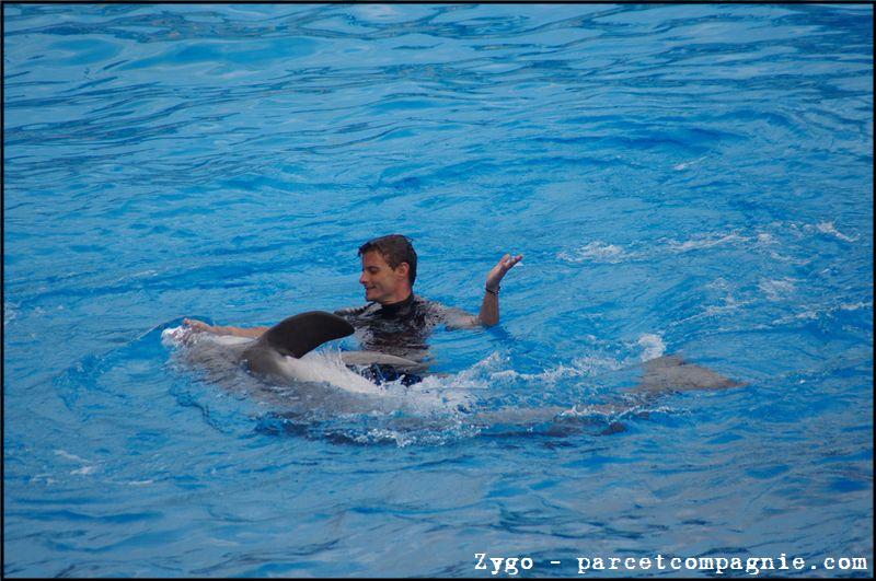 Marineland - Dauphins - Spectacle -15h30 - 0459
