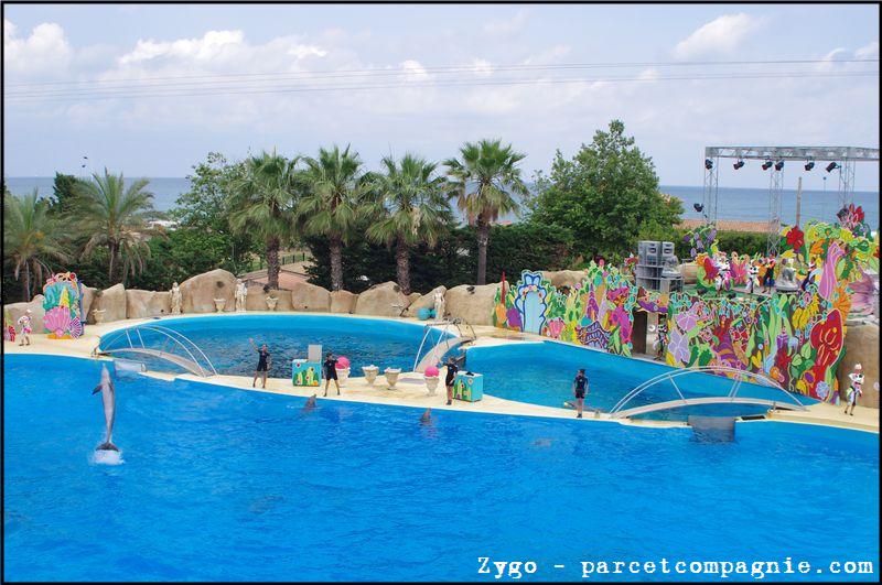 Marineland - Dauphins - Spectacle -15h30 - 0485