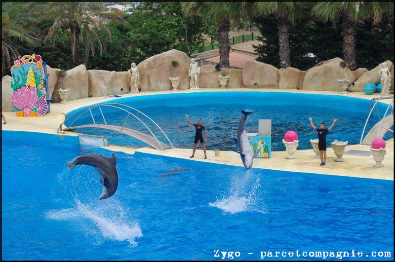 Marineland - Dauphins - Spectacle -15h30 - 0486