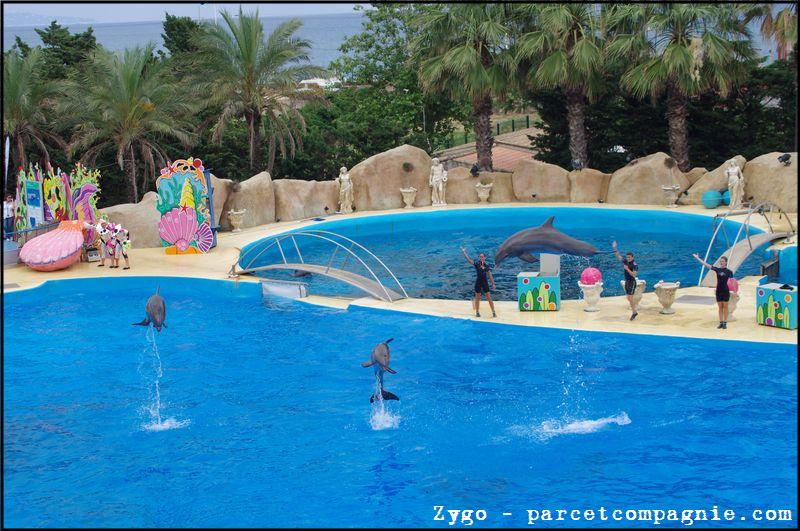 Marineland - Dauphins - Spectacle -15h30 - 0493
