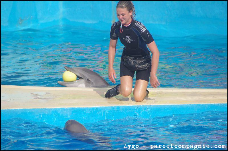 Marineland - Dauphins - Spectacle - 18h00 - 0503